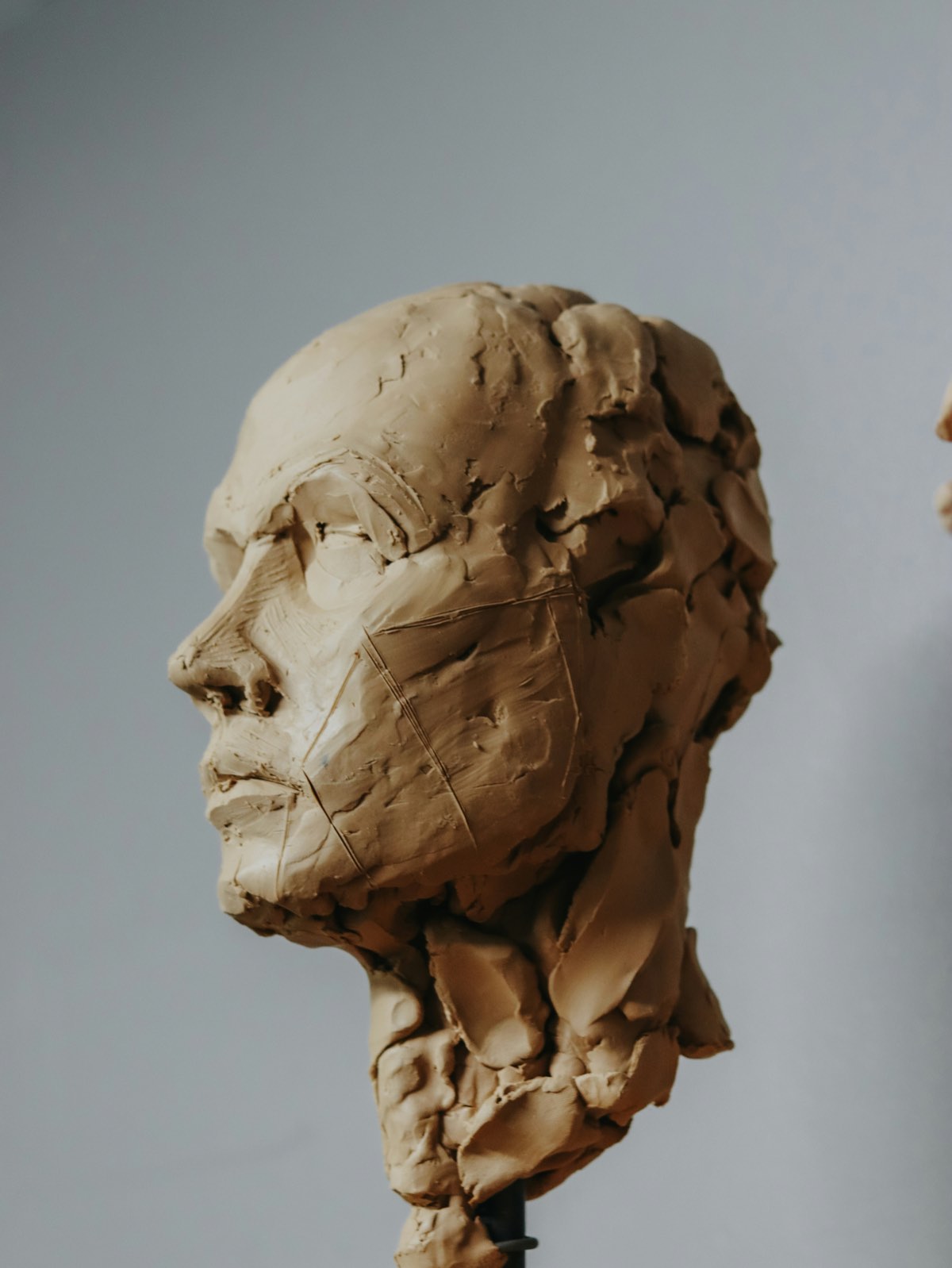 A clay portrait head in profile, its surface left rough with tool marks and thumb impressions, against a pale blue-grey wall.